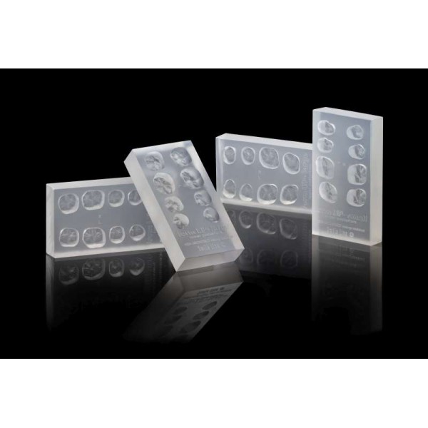 cosmetic dentistry - resin auxiliary species - blockage - Posterior silicone moulds set of 4 pcs Προϊόντα